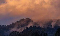 Featured image of post Ohakune September 2025