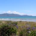 Raumati Beach December 2023